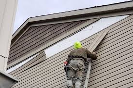 Best Siding Repair  in Wanamassa, NJ